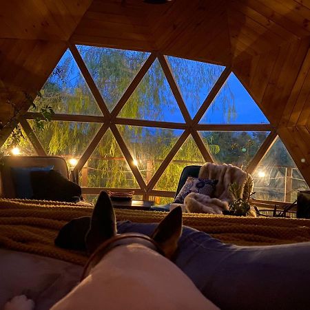 טונחה Glamping Cantabria מראה חיצוני תמונה