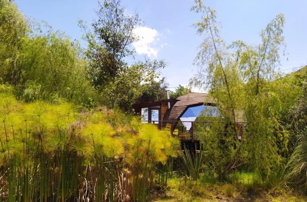 טונחה Glamping Cantabria מראה חיצוני תמונה