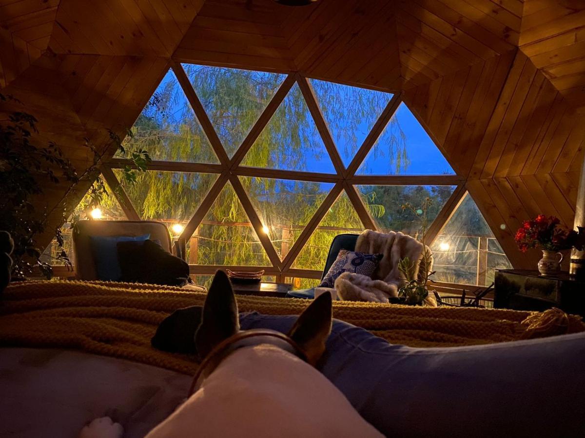 טונחה Glamping Cantabria מראה חיצוני תמונה